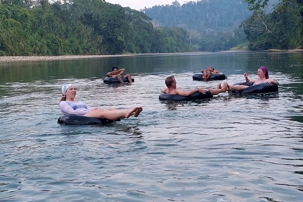 Manu jungle wildlife experience