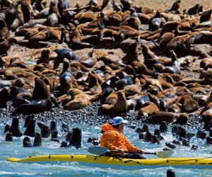 Reserva Nacional de Paracas