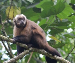 Sandoval Lake Tour 4D