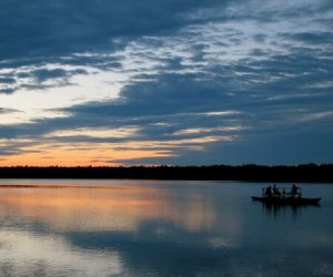 Sandoval Lake & Macaw Clay Lick 4D