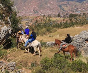Tour en Caballo 1/2D
